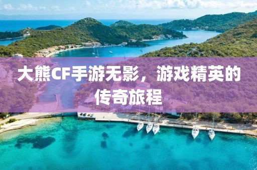 大熊CF手游无影，游戏精英的传奇旅程