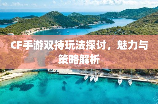 CF手游双持玩法探讨，魅力与策略解析