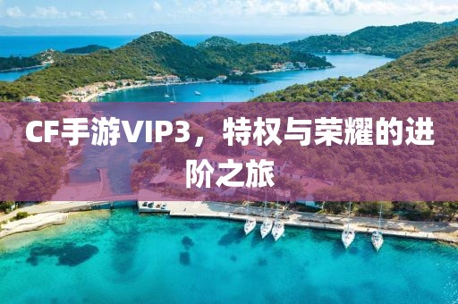 CF手游VIP3，特权与荣耀的进阶之旅