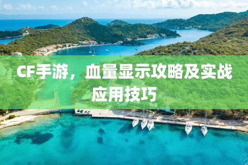 CF手游，血量显示攻略及实战应用技巧