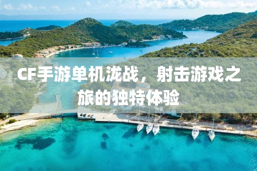 CF手游单机泷战，射击游戏之旅的独特体验