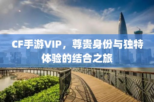 CF手游VIP，尊贵身份与独特体验的结合之旅