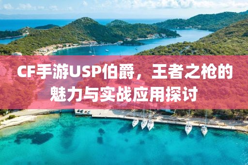 CF手游USP伯爵，王者之枪的魅力与实战应用探讨