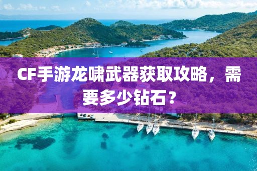 CF手游龙啸武器获取攻略，需要多少钻石？