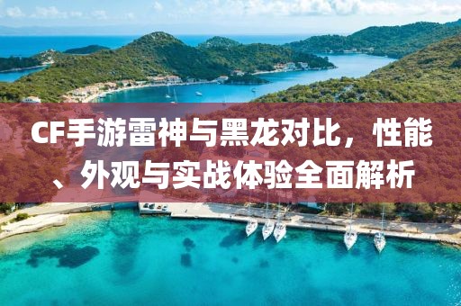 CF手游雷神与黑龙对比，性能、外观与实战体验全面解析