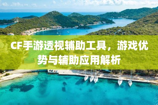 CF手游透视辅助工具，游戏优势与辅助应用解析